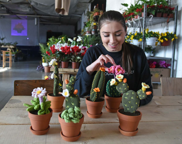 Фестивал кућног цвећа на Дорћолу